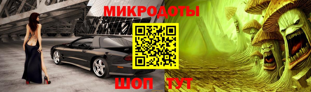 Гурьевск  Псилоцибиновые грибы Psilocybe  Псилоцибиновые грибы Magic Shrooms  наркота  Вход с VPN 
